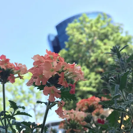 Lauteri Apart Free Parking Self Check-in 24h * Tallin